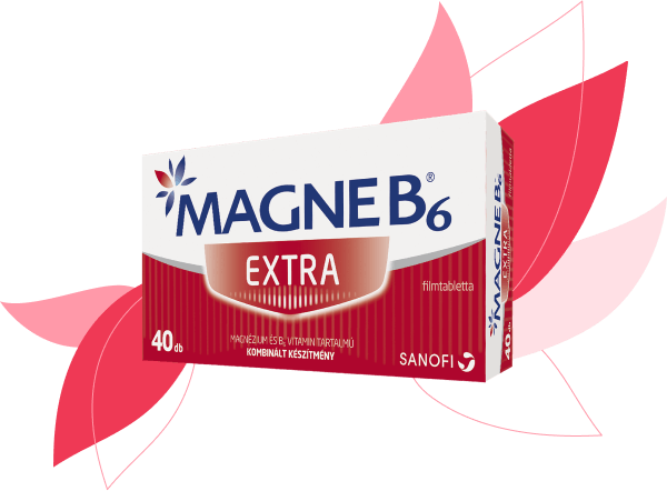 Magne B6 Extra