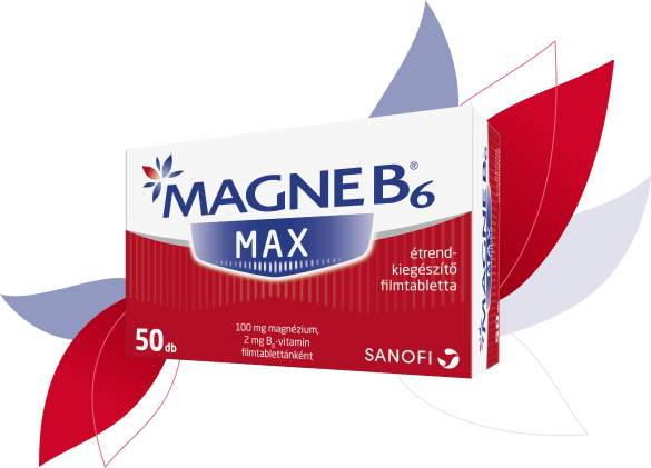 Magne B6 Max